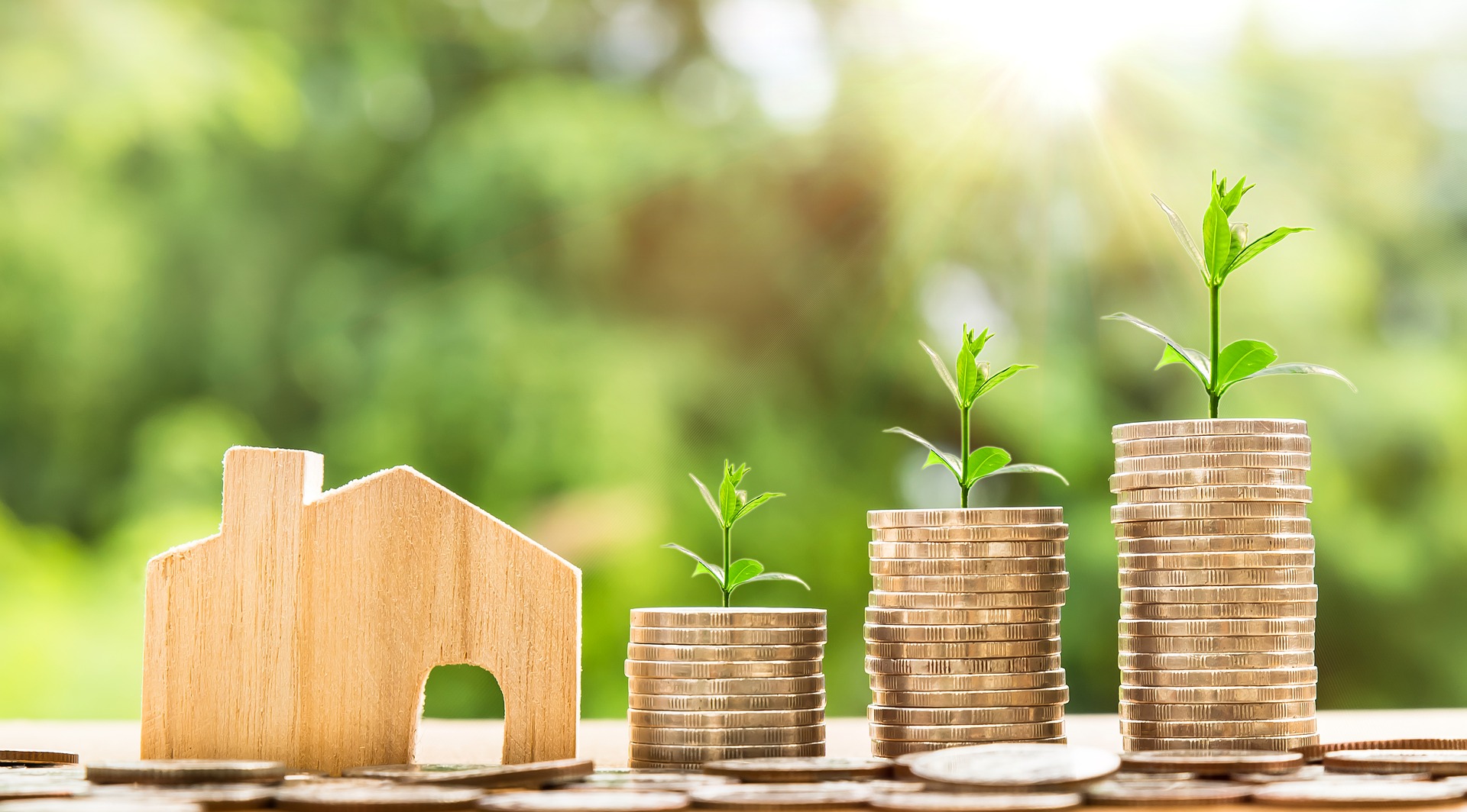 Avenue Living Asset Management
