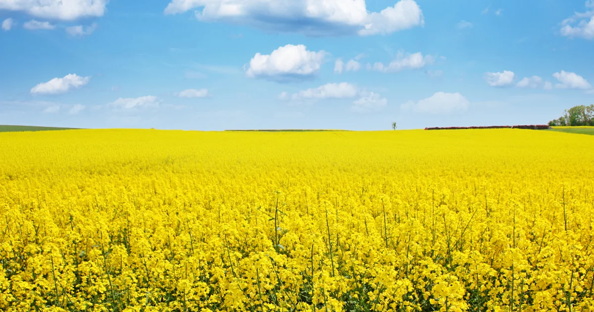 Famrland Investment Saskatchewan